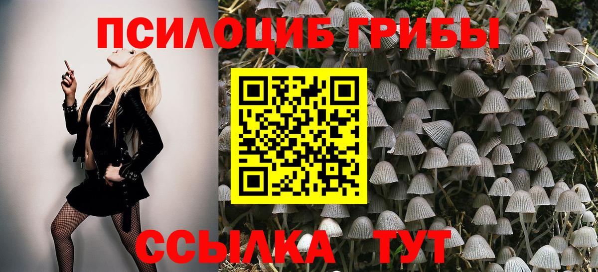 Псилоцибиновые грибы ЛСД  Вход с VPN  Набережные Челны  Галлюциногенные грибы прущие грибы 